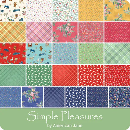 66x86 inch My First Quilt  • Simple Pleasures