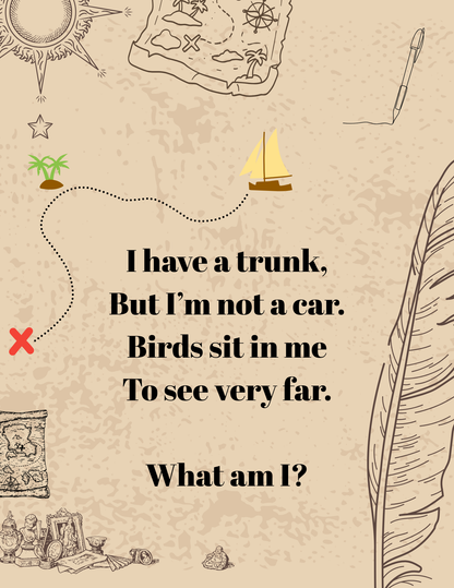 Pirate Treasure Hunt